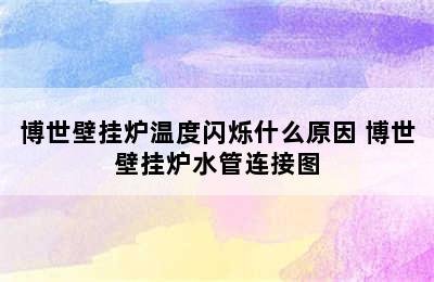 博世壁挂炉温度闪烁什么原因 博世壁挂炉水管连接图